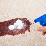 What's best for carpet stains?