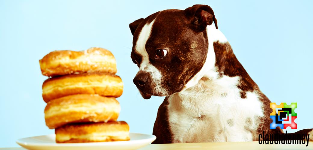 Can Humans Eat Dog Food?