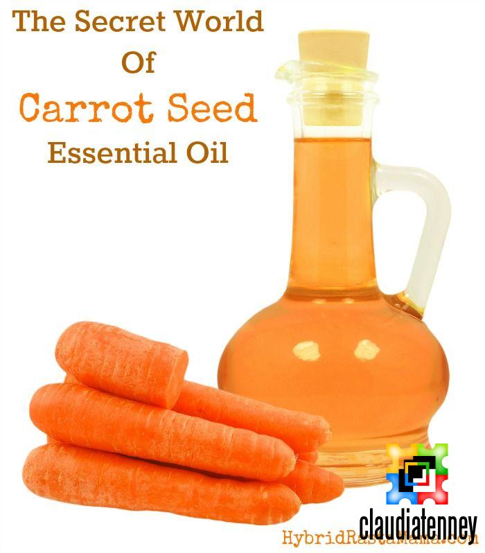 Carrot Seed Oil Benefits Your Body