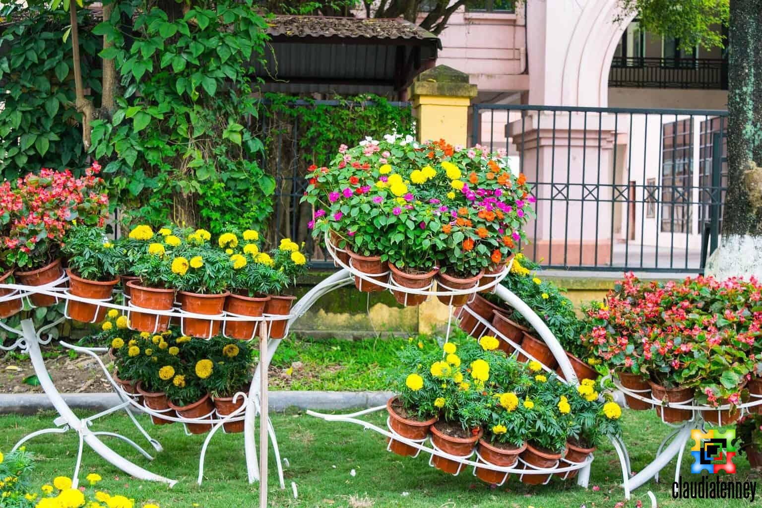 Yellow Flower Types to Decorate Your Garden